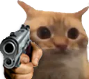 :LimiteGun:
