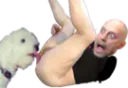 :pauvre_chien: