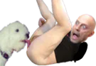 :pauvre_chien: