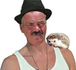 :risitas_herisson: