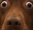 :teddielonzoomzoom: