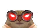 :Chat_Yeux_Rouge_Chad: