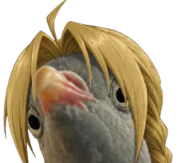 :Edward_pigeon_zoom: