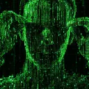 Neo