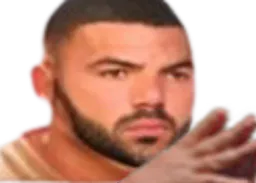 :BG_avis: