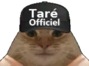 :TareOfficiel: