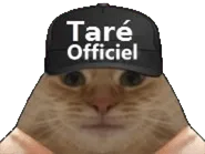 :TareOfficiel: