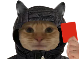 :chatrougee: