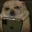Photo de profil de Zuz_moi