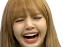 :lisa_pleure: