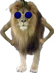 :Lion_ready: