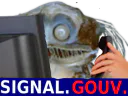 :Poisson_gouv: