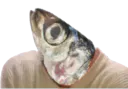:Sardine: