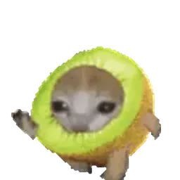 :chat_kiwi_court_v2: