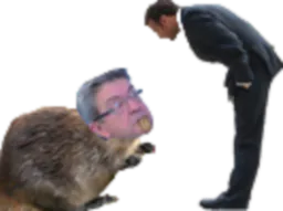 :Melenchon_Macron: