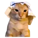 LeDinoBoy_