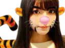 :Tigre_asiat: