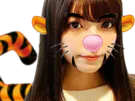 :Tigre_asiat: