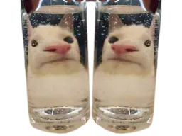 :glouglouent: