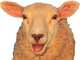 :mouton_: