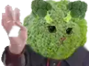 :Brocoli_salut: