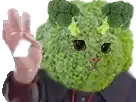 :Brocoli_salut: