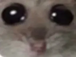 :grozyeuzoom: