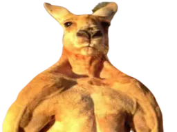 :kangouchad: