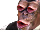 :singe_muuuuh: