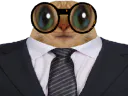 :chatcostard: