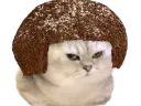 :chat_tetedenegre: