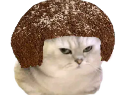 :chat_tetedenegre: