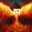 Photo de profil de Phoenix
