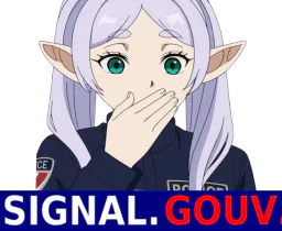 :Frieren_signalement: