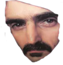 :Zappa_gros_visage:
