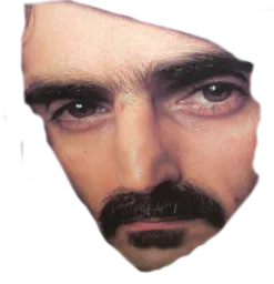 :Zappa_gros_visage:
