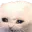 Photo de profil de OtarieEnRut