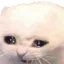 Photo de profil de OtarieEnRut