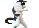 :chatfu: