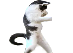 :chatfu: