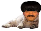 :dsd: