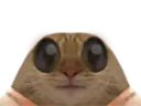 :chyeux: