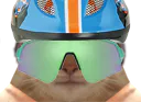 :chat_lunettes_golemvelo: