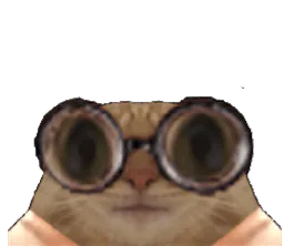 :chat_lunettes_vagues: