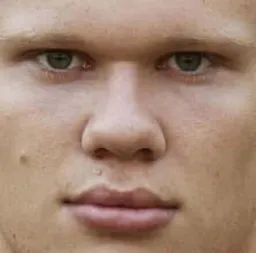 :Haaland_zoom: