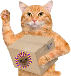 :ChatCarton: