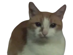 :Nestouille: