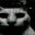 Photo de profil de PepeTheFrog