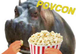:POVCON:
