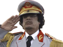 :Kadhafi: